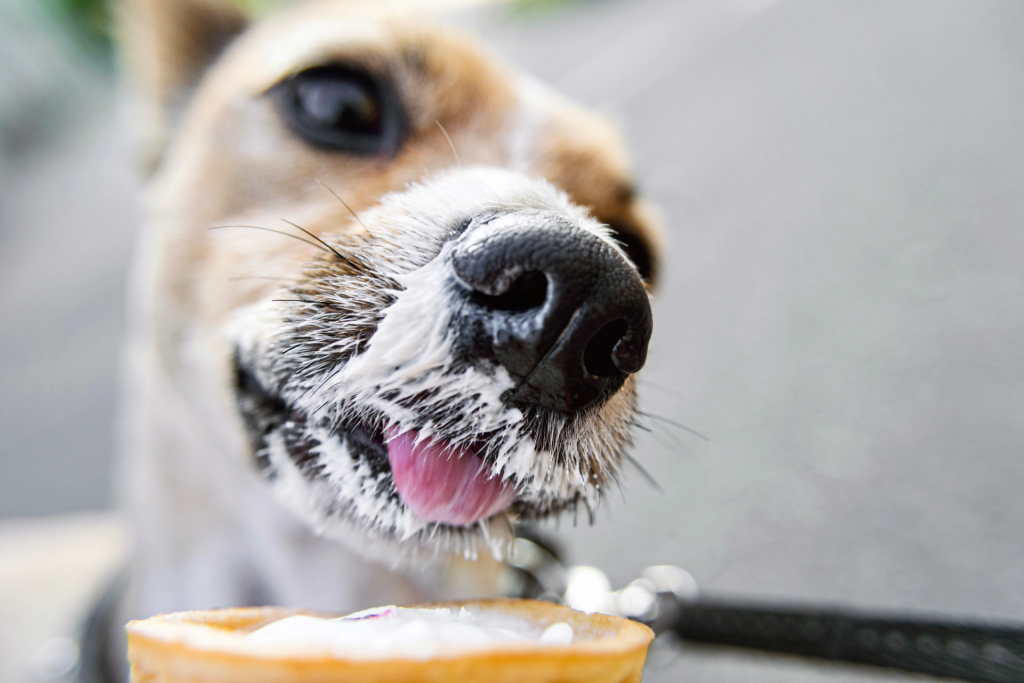 Ice Cream Treats for a Picky Eater