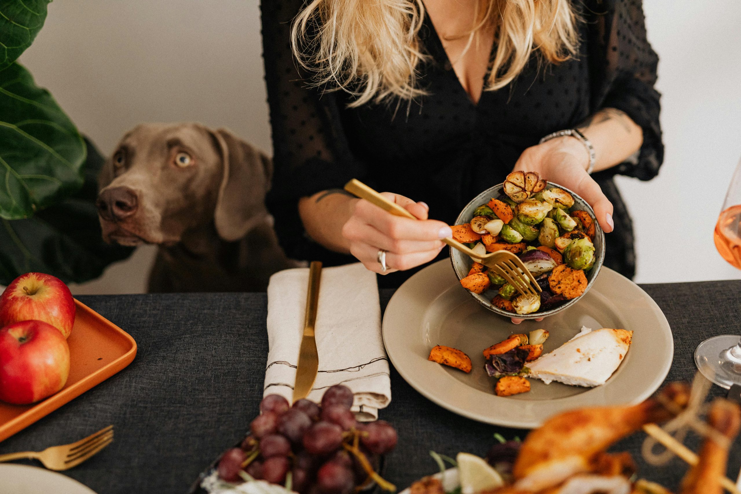 A cozy dinner scene with a person holding a vegetable bowl and a dog watching eagerly.
