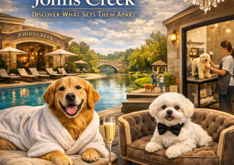 Luxury dog suite in a Johns Creek dog hotel, with plush bedding and high-end decor.